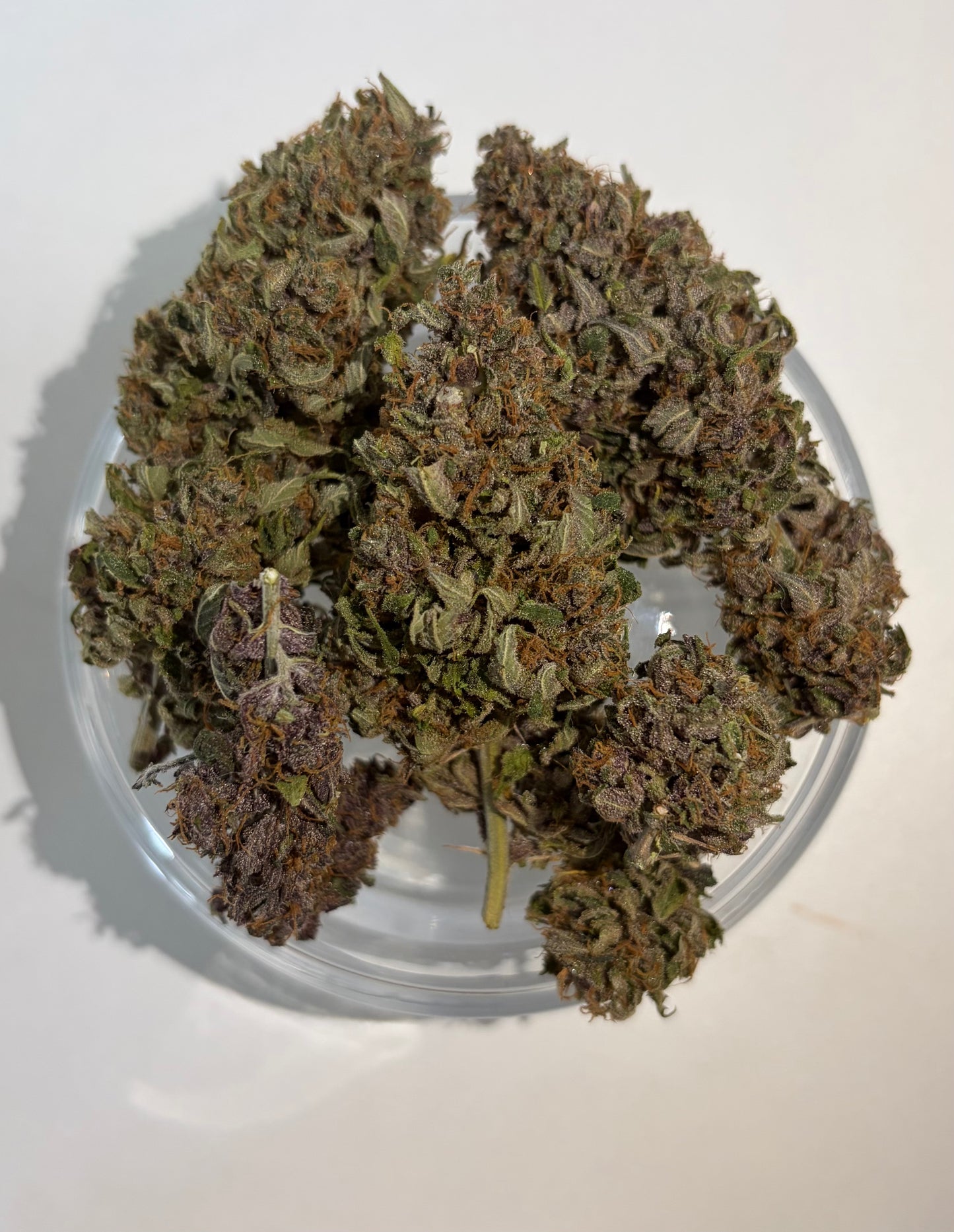 Vanilla Pearl Mix Bud