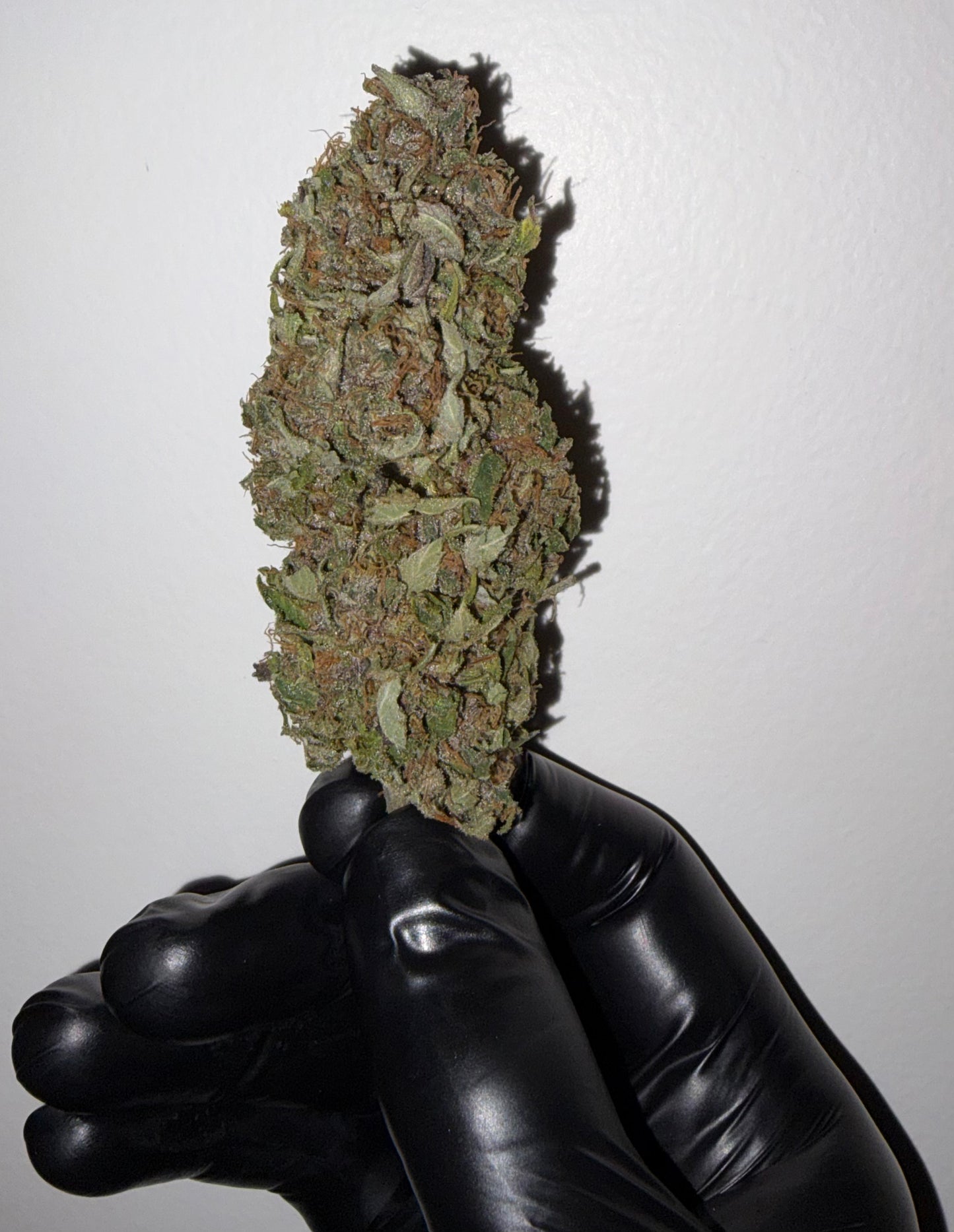 Vanilla Pearl Mix Bud