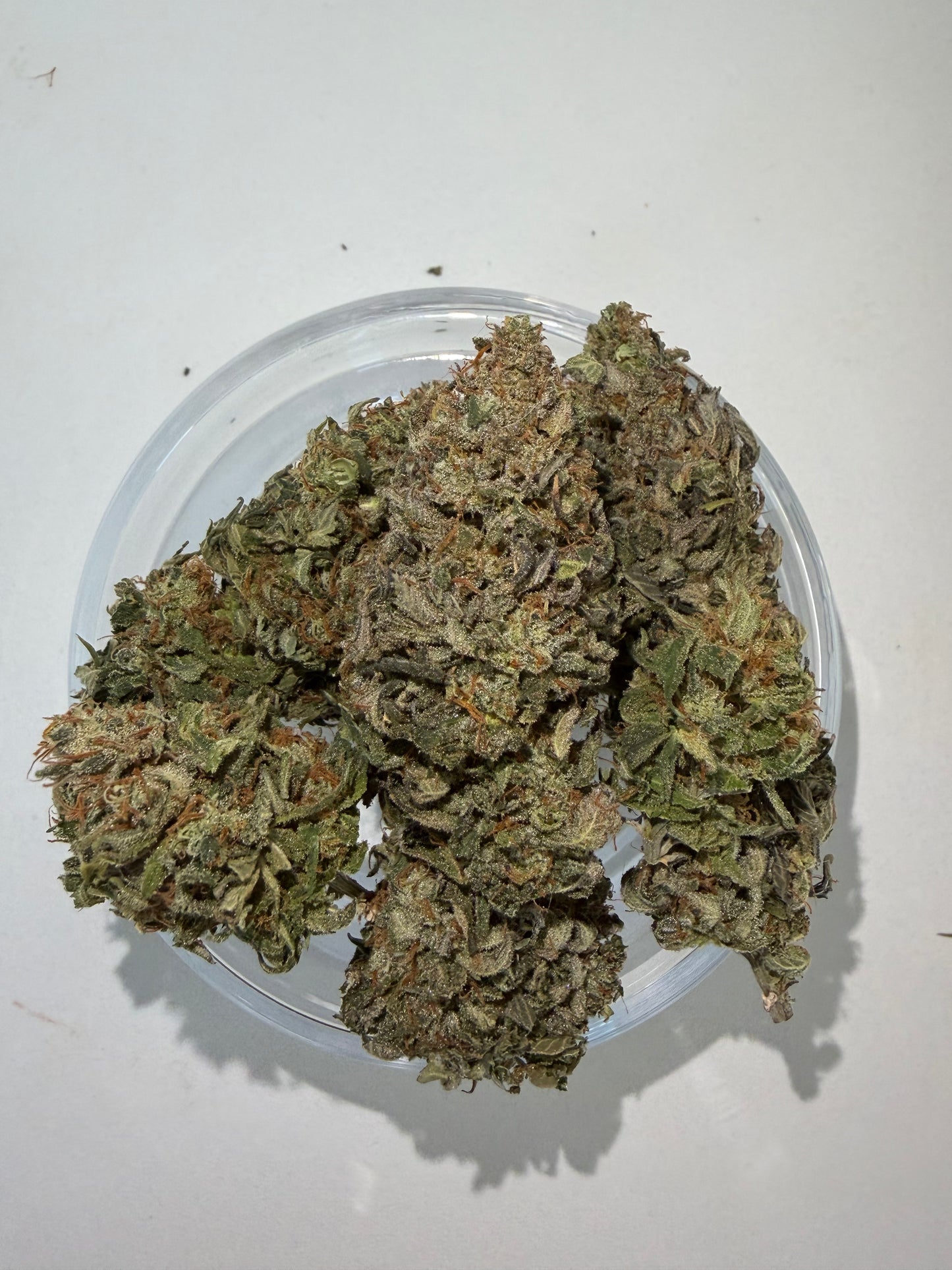 Sunset Dream Mix Bud