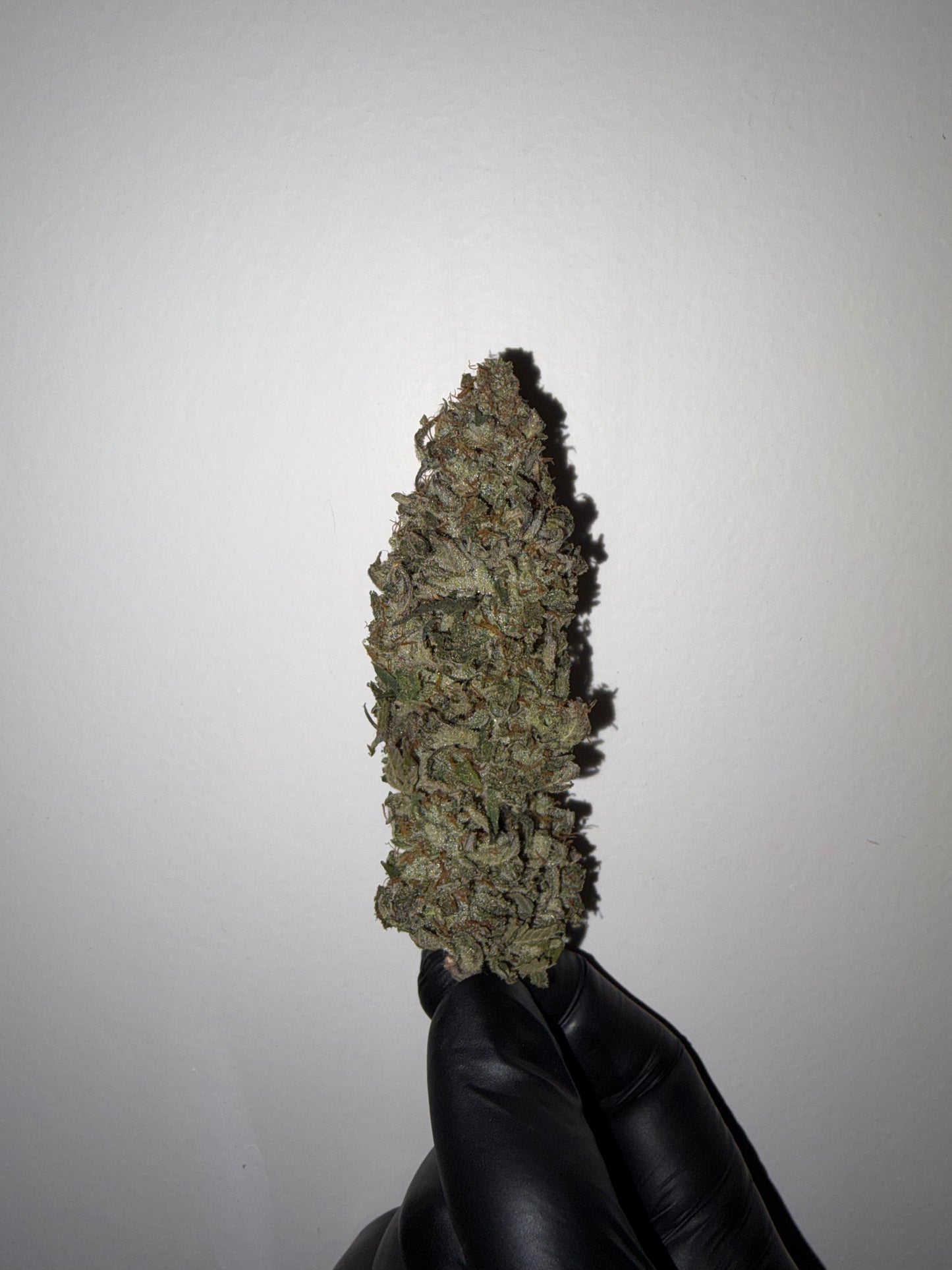 Sunset Dream Mix Bud