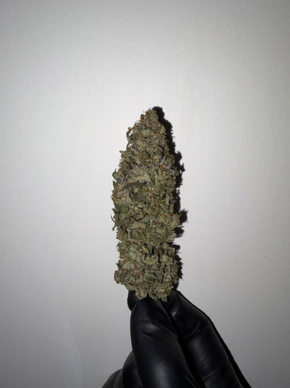 Sunset Dream Mix Bud