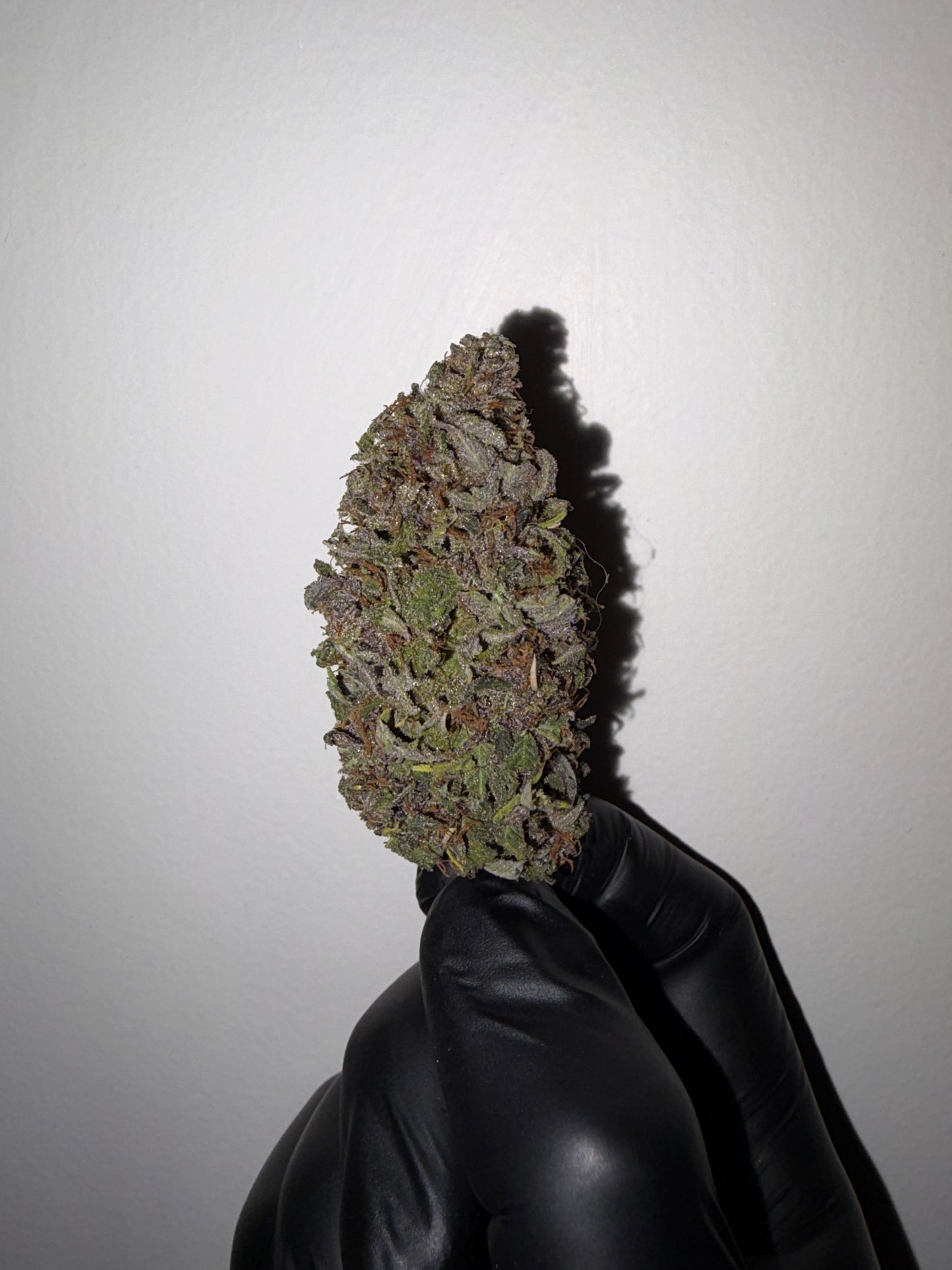 Midnight Calis Mix Bud
